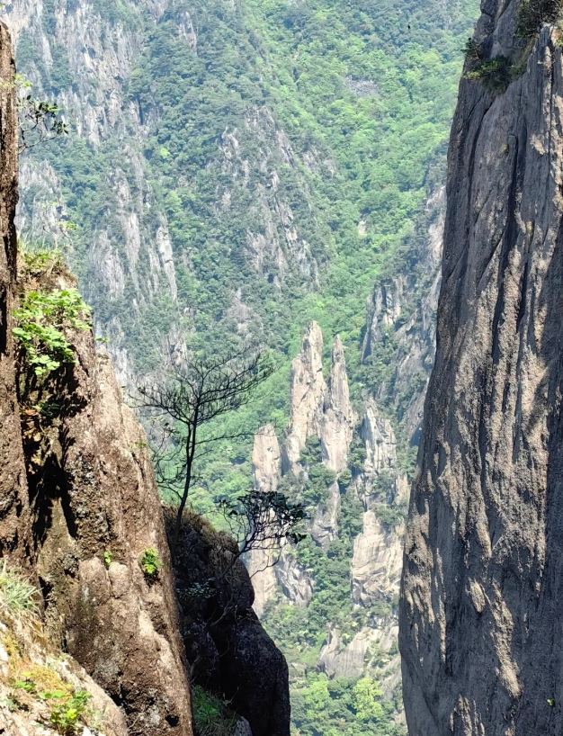 Photo of Yellow Mountain: hiking in Huangshan