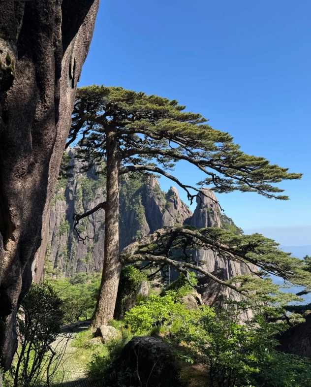 Photo of Yellow Mountain: how to visit Yellow Mountain