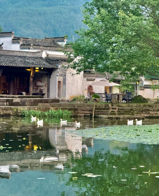 Photo of Chengkan Ancient Village: Chengkan Ancient Village