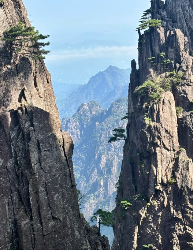 Huangshan tour with Hongcun