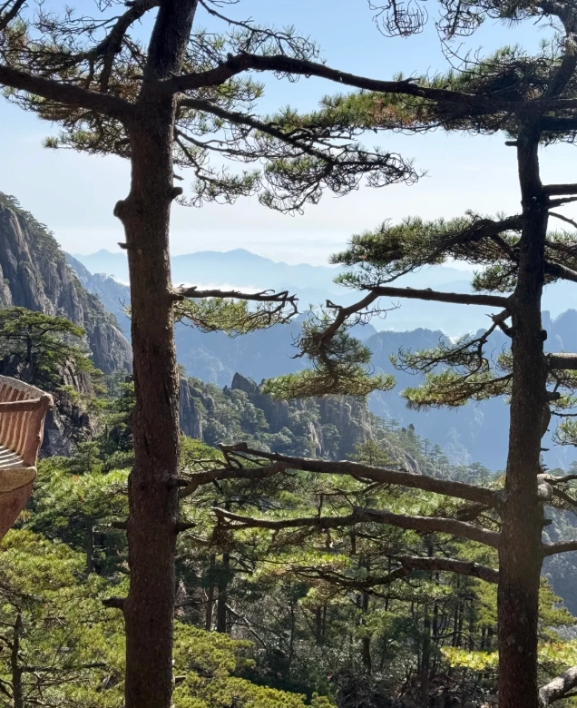 Best Huangshan Hongcun tour