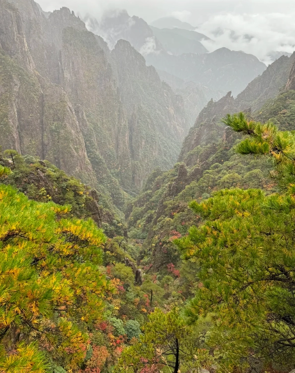 Photo of Yellow Mountain: Yellow Mountain best time to visit