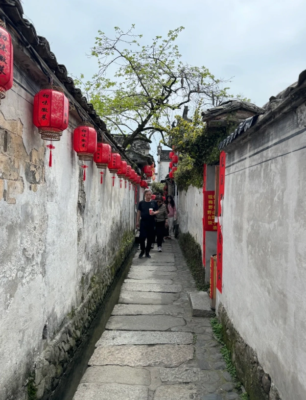 Photo of Hongcun Ancient Village: worth visiting