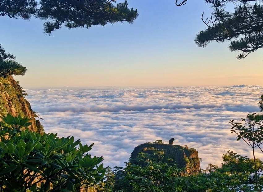 Things to Do in Huangshan City: Avoid Crowds, Discover Secrets