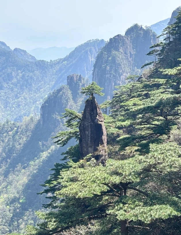 Huangshan Hongcun itinerary 5 days