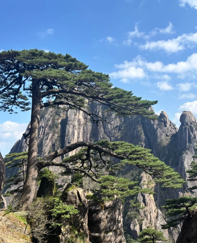 Yellow Mountain travel guide Yellow Mountain travel guide