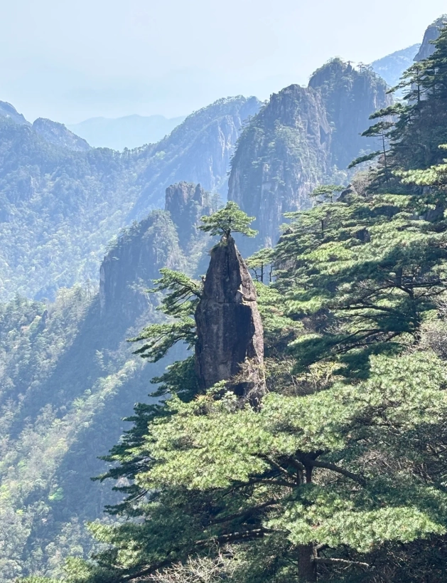 best time to visit Yellow Mountain best time to visit Yellow Mountain