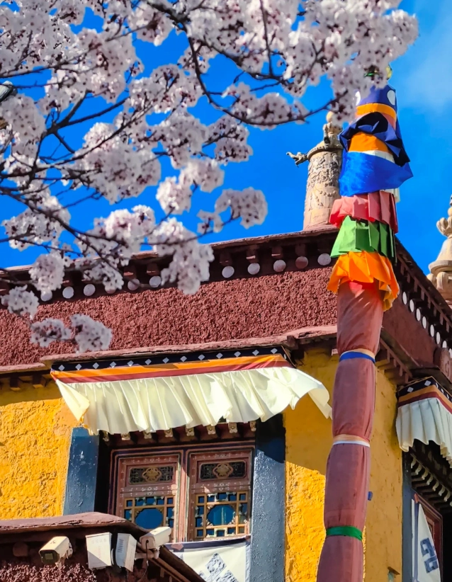 Lhasa travel tips