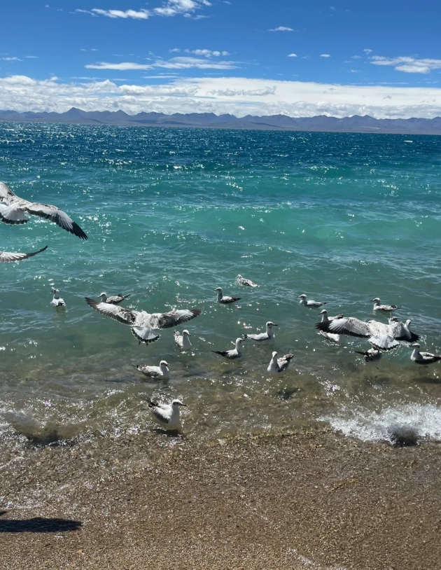 Photo of Namtso Lake: altitude sickness symptoms Lake Namtso