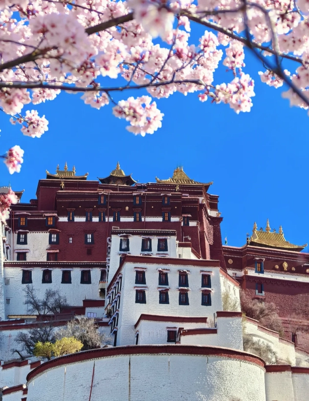 Travel photos of Lhasa: Lhasa altitude sickness prevention