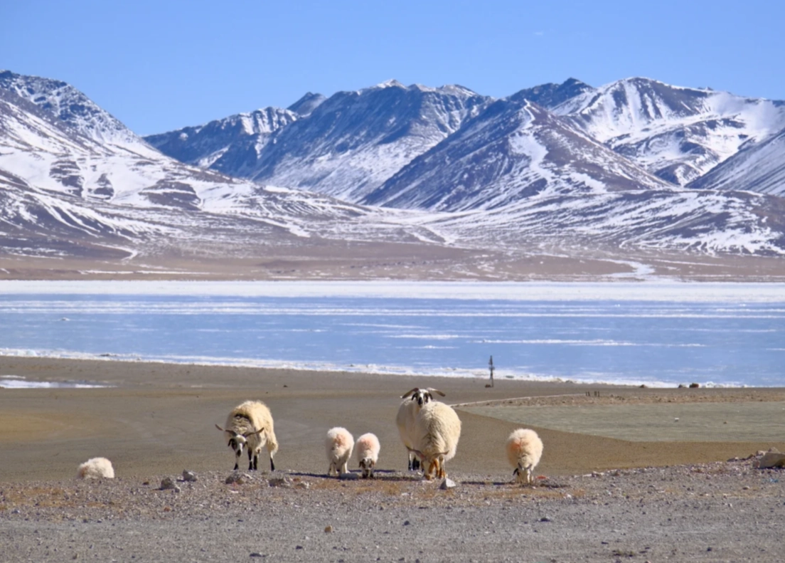altitude sickness symptoms Lake Namtso altitude sickness symptoms Lake Namtso