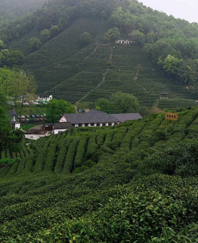 Hangzhou travel tips family Hangzhou travel tips family