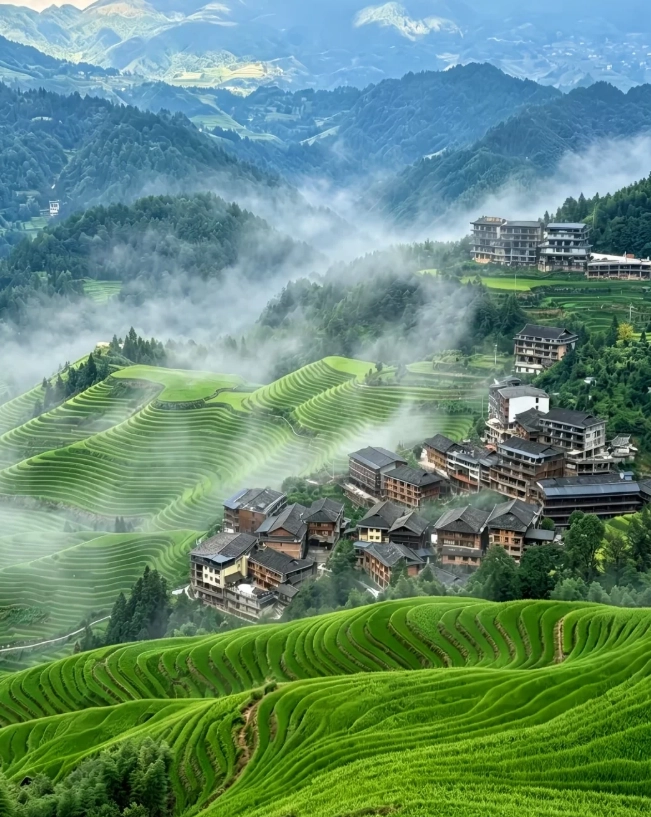 Longji Rice Terraces budget Longji Rice Terraces budget