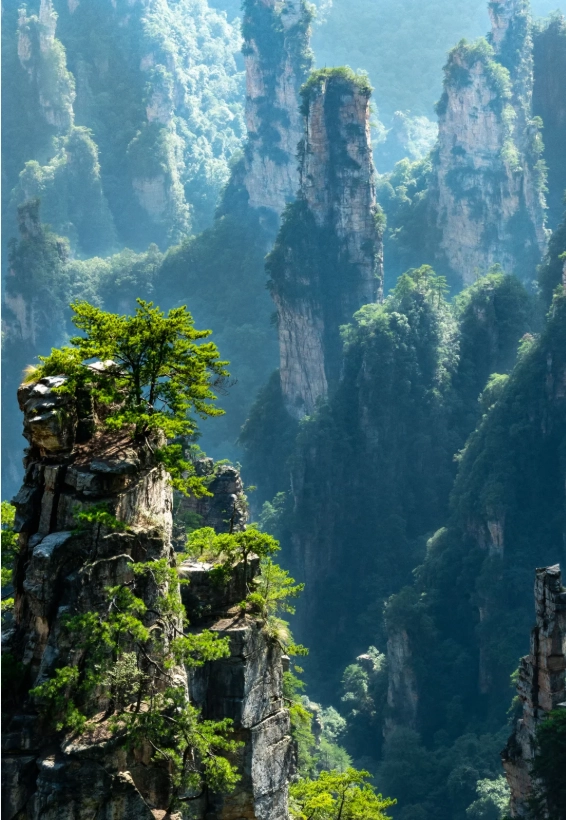 how to visit zhangjiajie as a foreigner