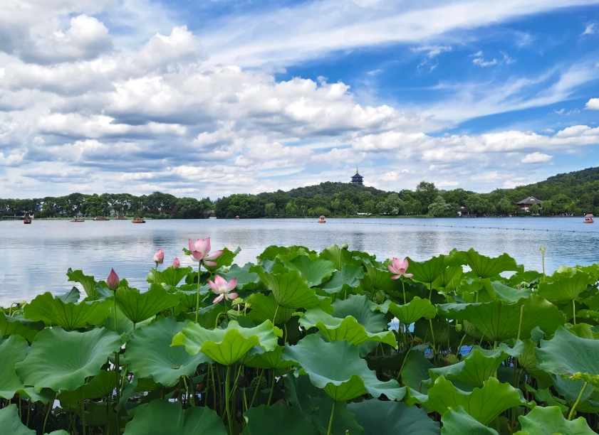 Hangzhou Solo Travel: Skip the Crowds & Save Money
