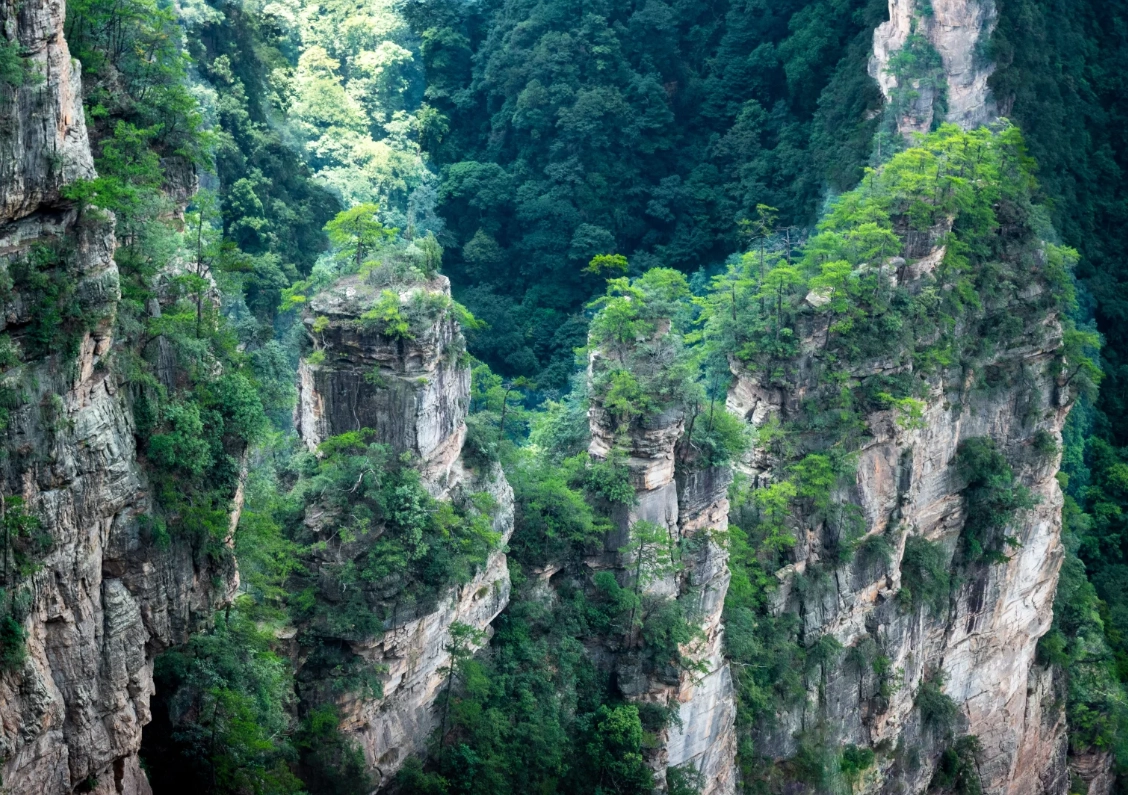 zhangjiajie national forest park for foreigners