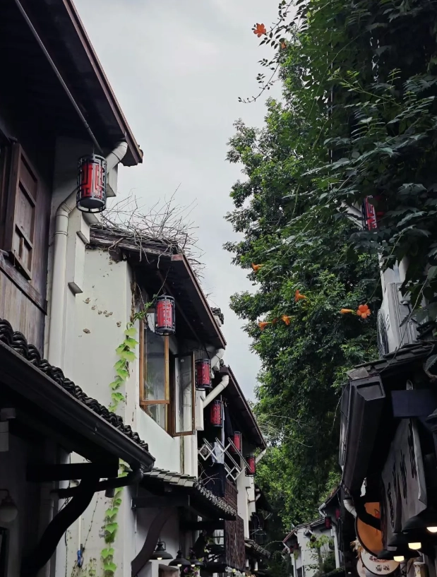 English friendly Hangzhou English friendly Hangzhou