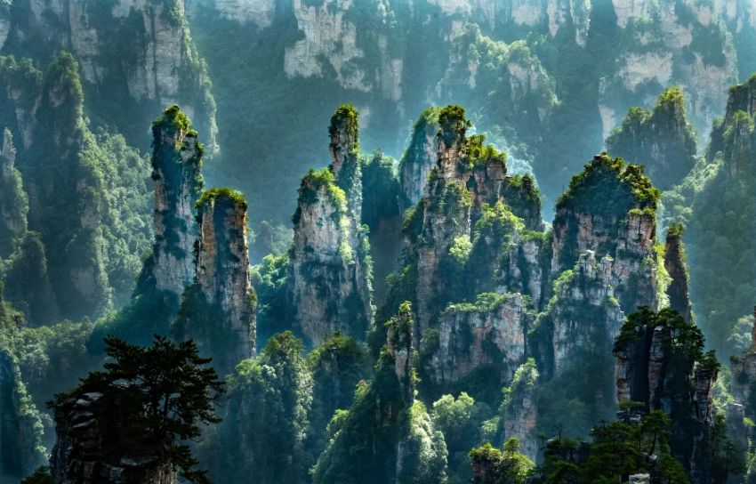 zhangjiajie national forest park for foreigners