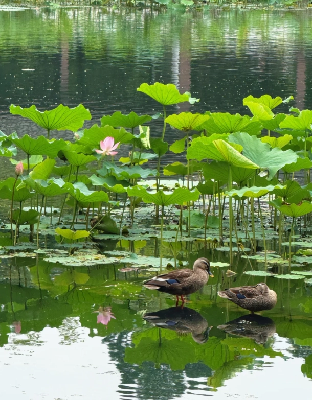English friendly Hangzhou English friendly Hangzhou