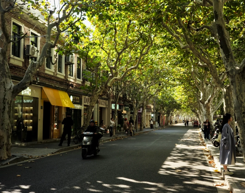 best Shanghai walking tours best Shanghai walking tours