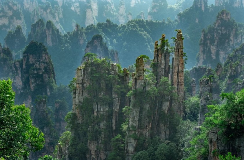 zhangjiajie ticket booking for foreigners