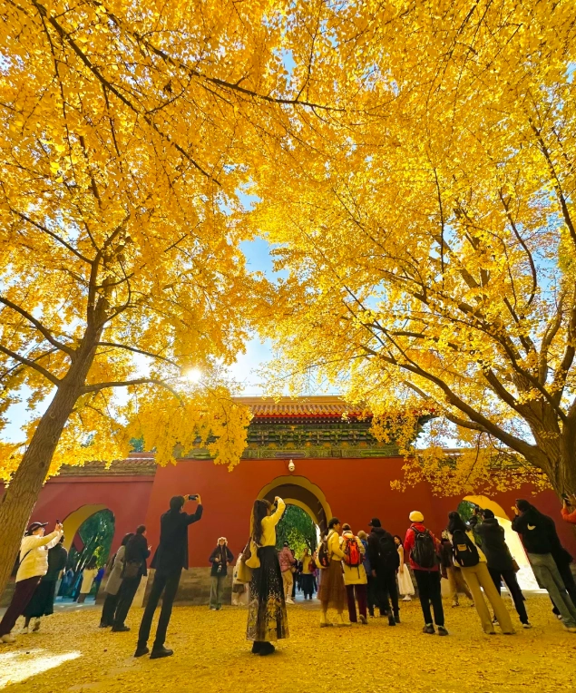 Beijing fall travel Beijing fall travel