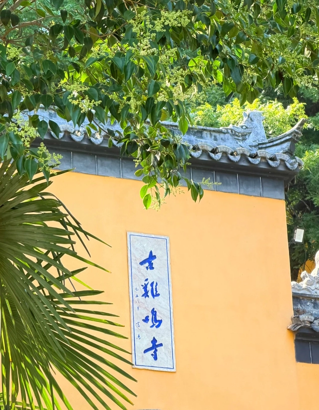 solo travel Nanjing solo travel Nanjing