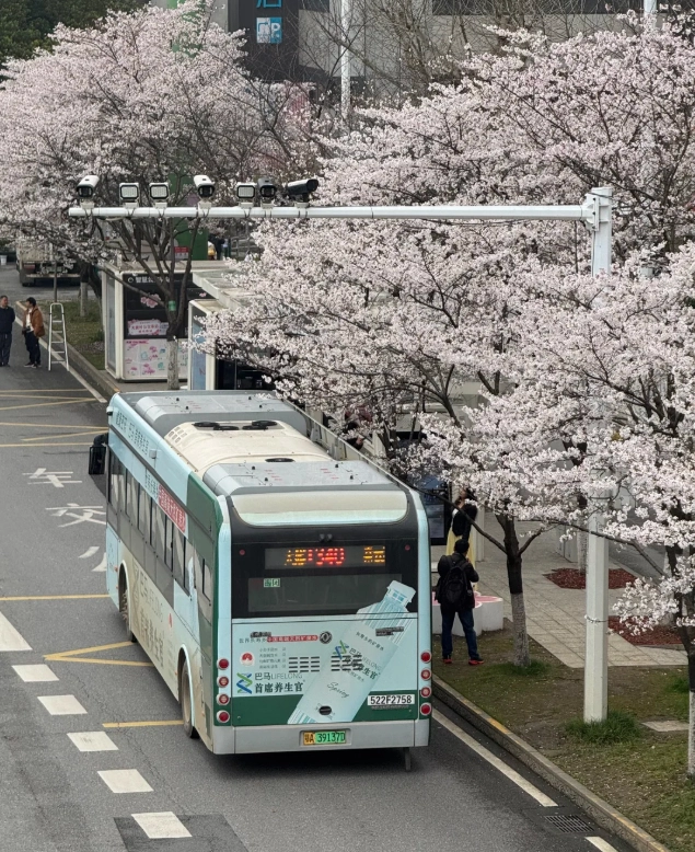 how to use Wuhan public transport