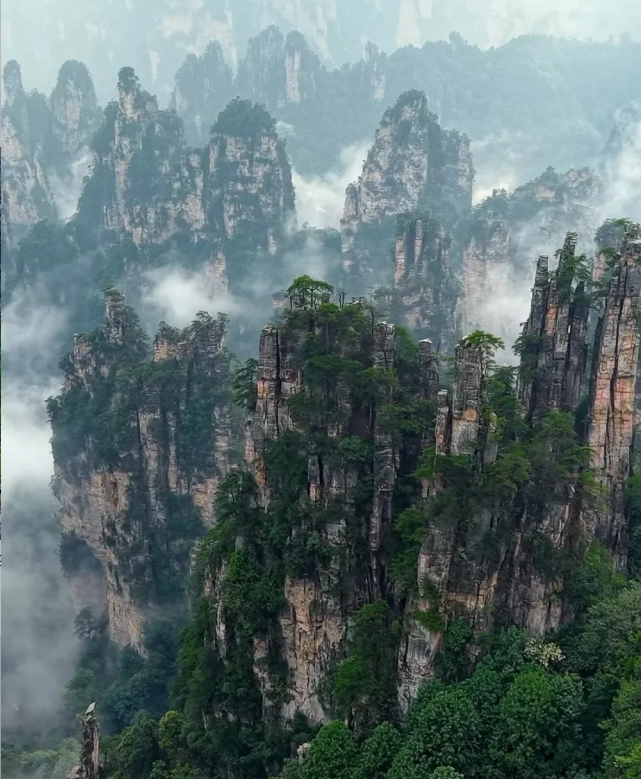 Zhangjiajie itinerary family Zhangjiajie itinerary family