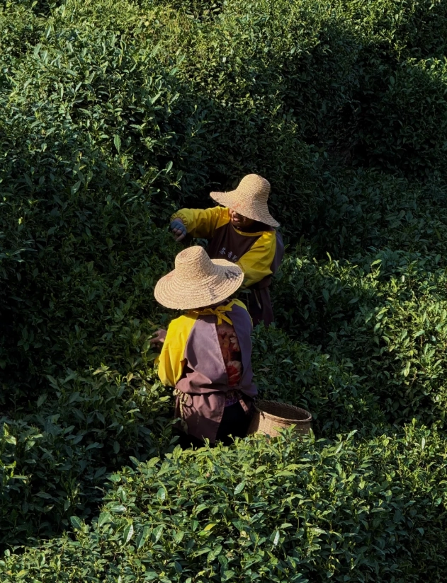 Hangzhou off the beaten path Hangzhou off the beaten path