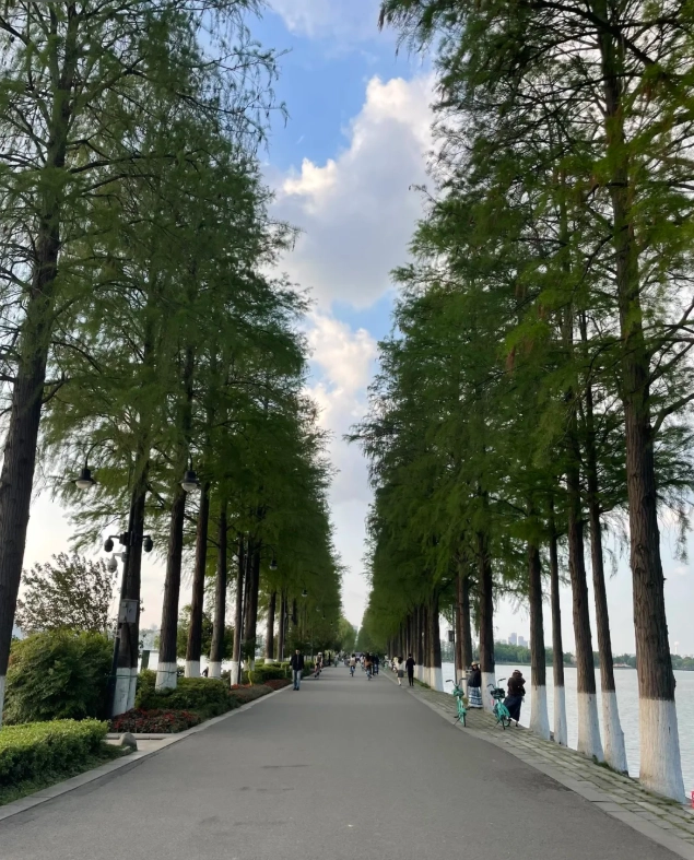 Photo of East Lake Scenic Area: East Lake boat tour
