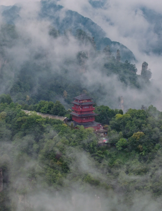 Zhangjiajie national forest park tips Zhangjiajie national forest park tips