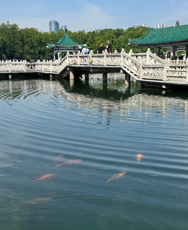 how to get to East Lake Wuhan how to get to East Lake Wuhan
