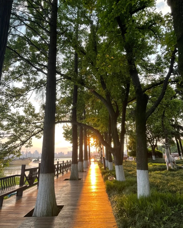 East Lake travel tips East Lake travel tips