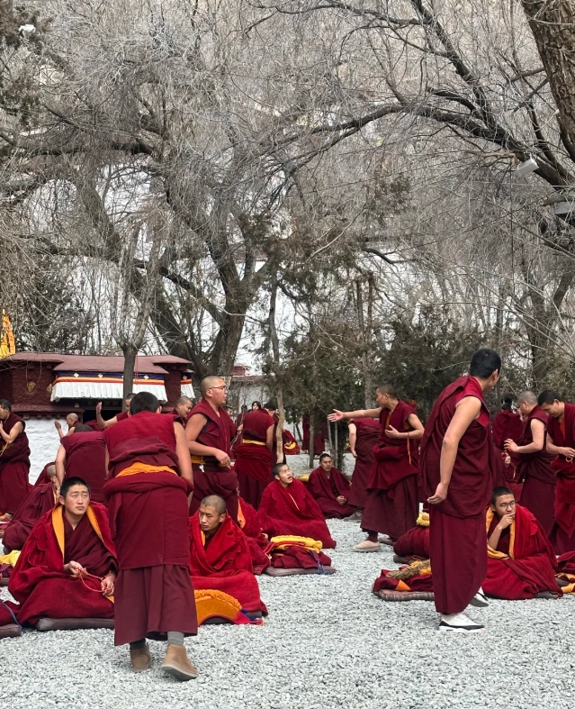 Sera Monastery debate session