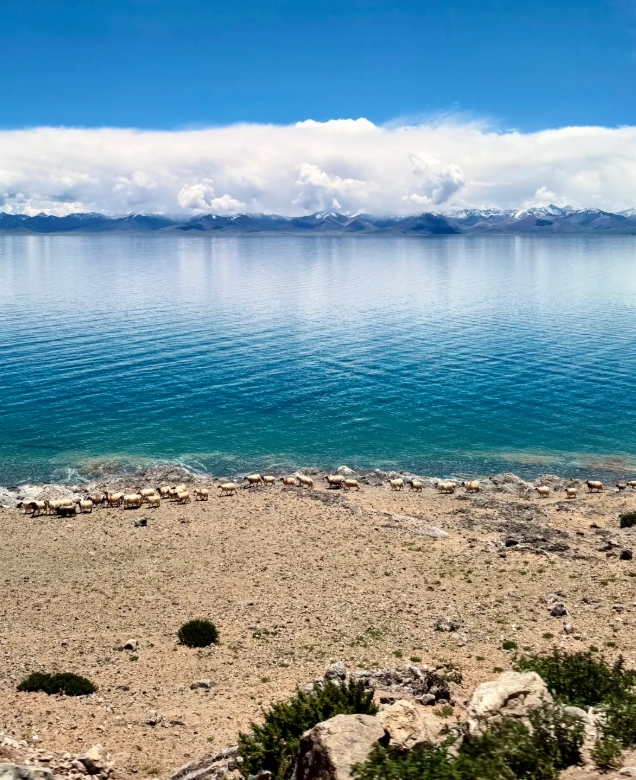 Namtso Lake tour