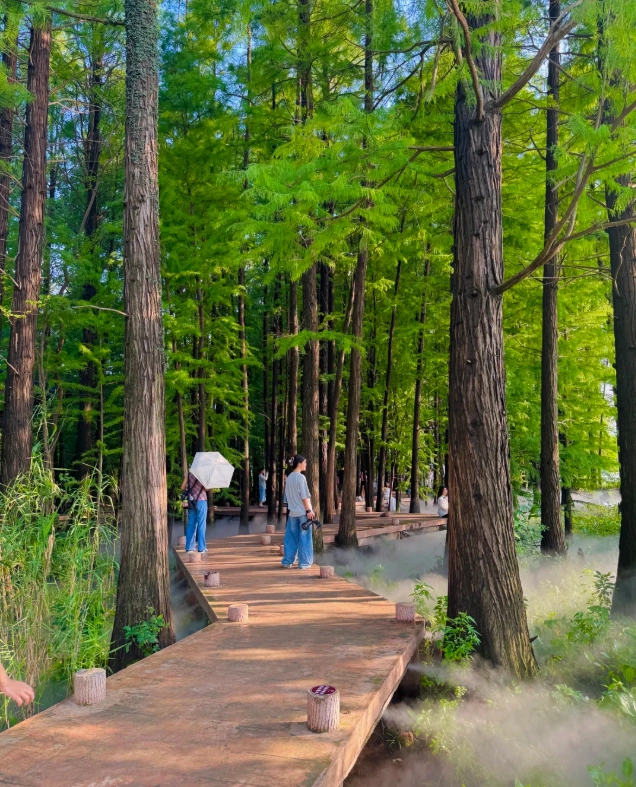 East Lake photography spots East Lake photography spots