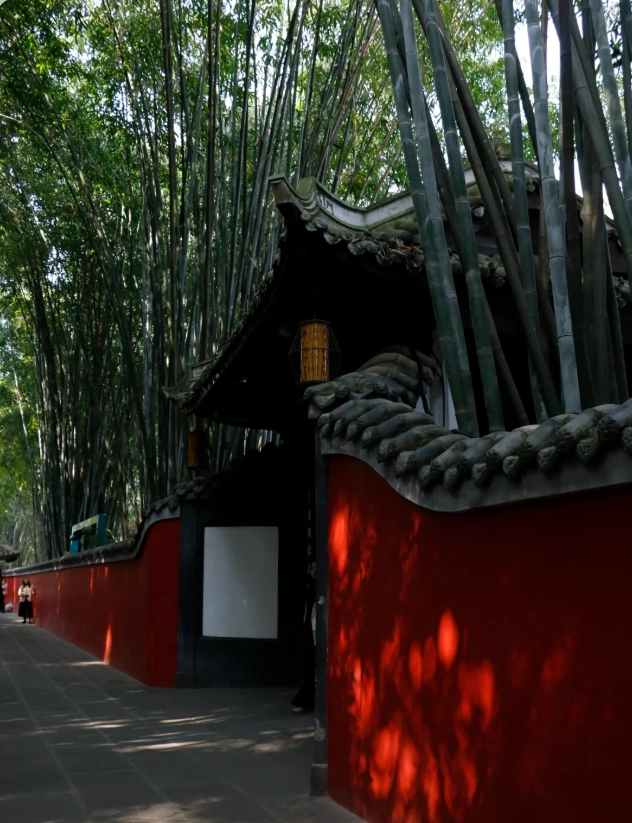 Panda Base Chengdu Panda Base Chengdu