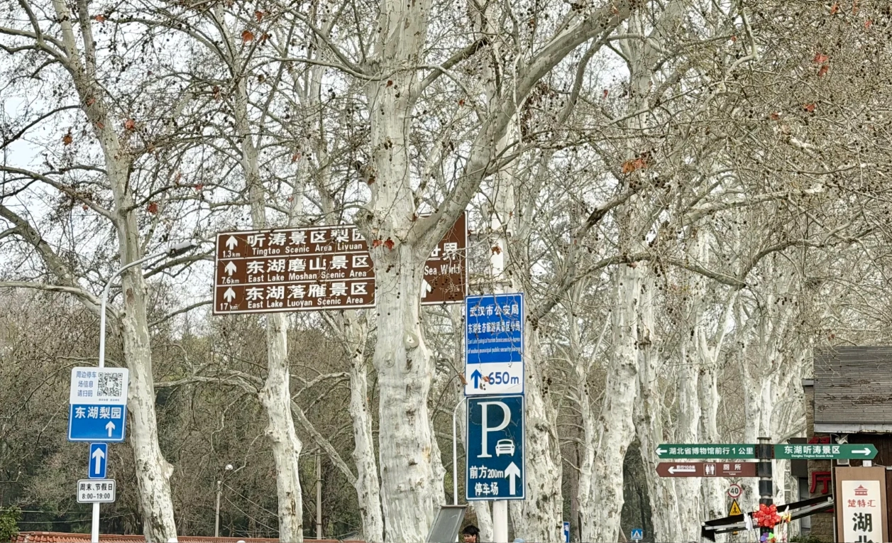 East Lake scenic spots guide East Lake scenic spots guide