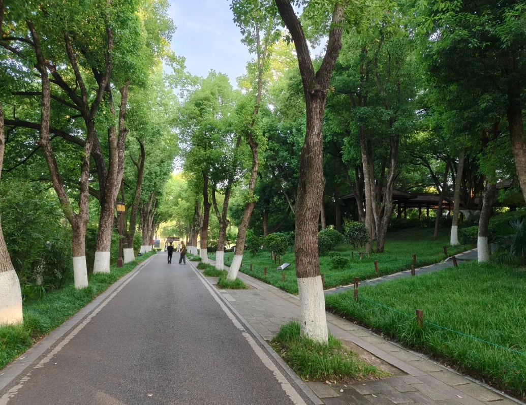 Wuhan itinerary museum lake Wuhan itinerary museum lake