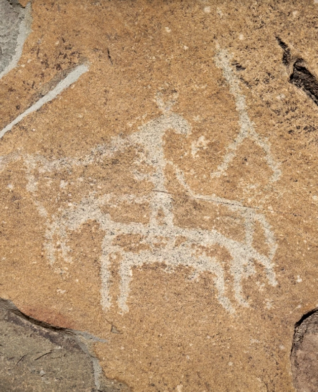 Helan Mountain petroglyphs tour Helan Mountain petroglyphs tour