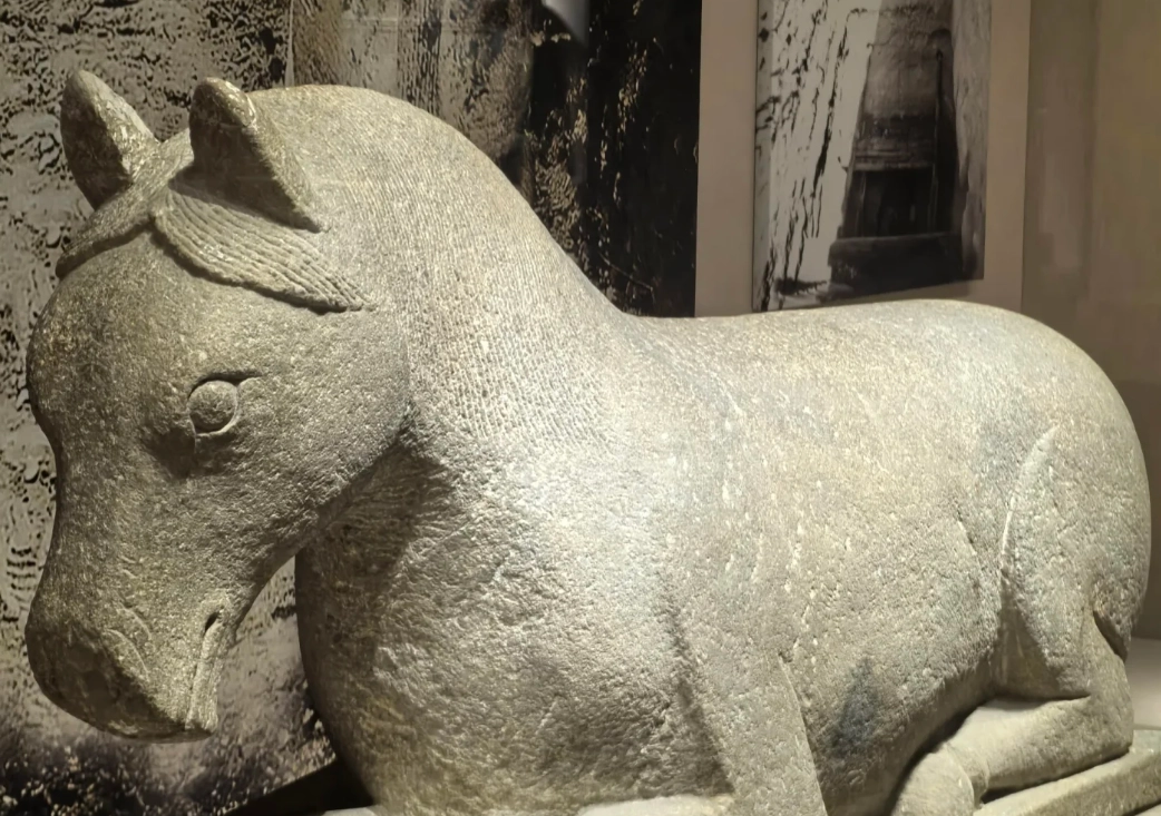 how to get to Ningxia Museum