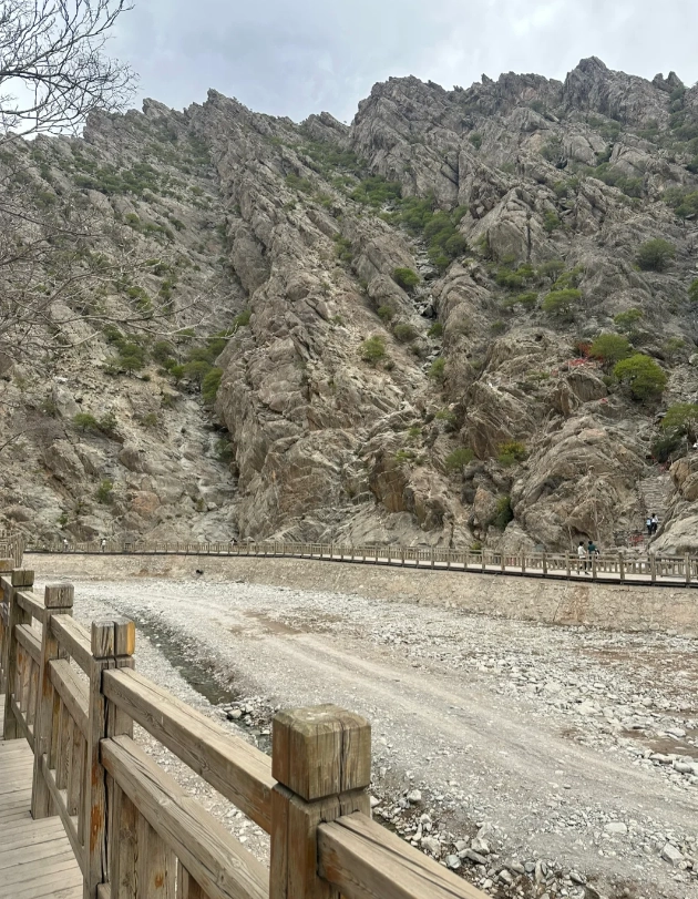 helan mountain rock engravings entry fee helan mountain rock engravings entry fee