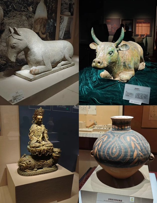 Photo of Ningxia Museum: book Ningxia Museum online