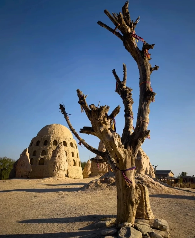 Ningxia travel tips Ningxia travel tips