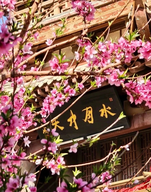 Photo of Mingsha Mountain and Crescent Lake: Crescent Lake ticket price