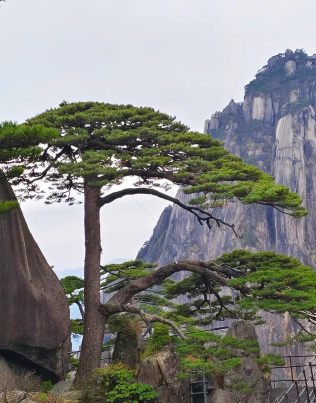 Huangshan ticket price