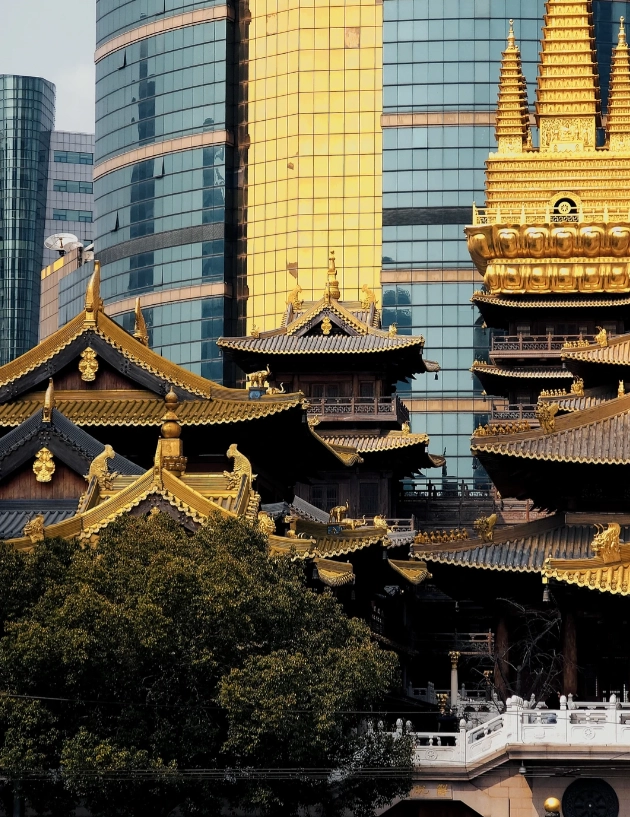 Shanghai temple tour guide