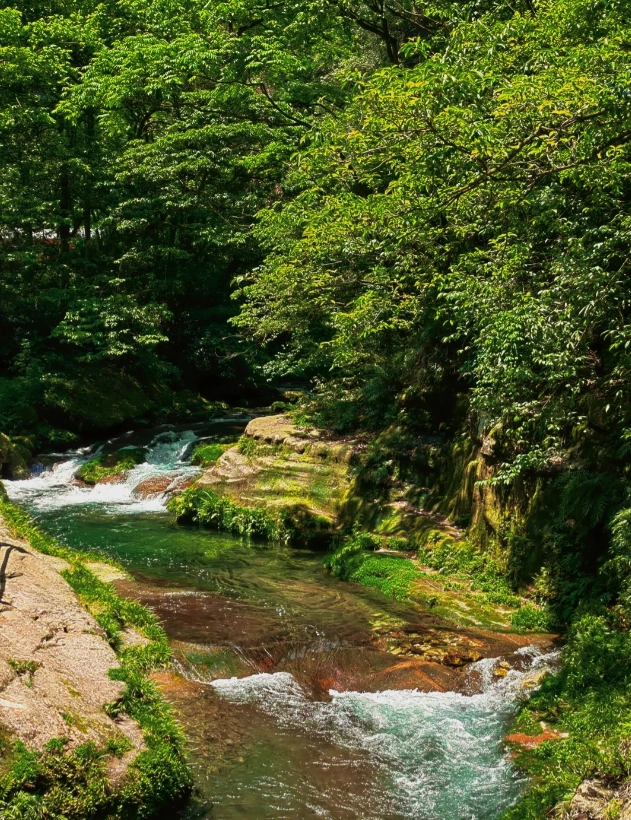 Zhangjiajie National Forest Park best photo locations Zhangjiajie National Forest Park best photo locations