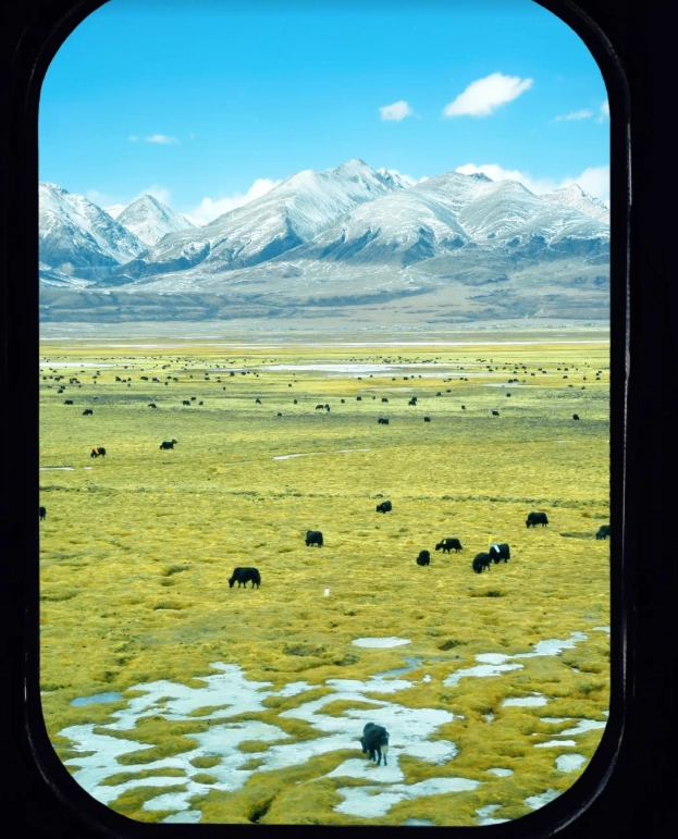 Tibet train experience Tibet train experience
